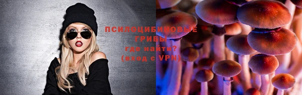 mix Белокуриха
