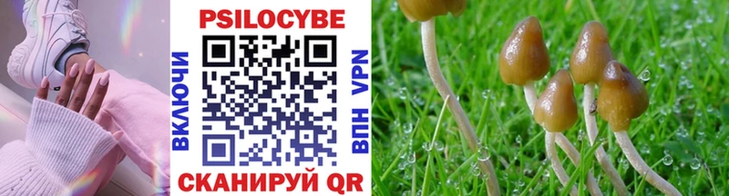 Галлюциногенные грибы ЛСД Купить закладки Баймак
